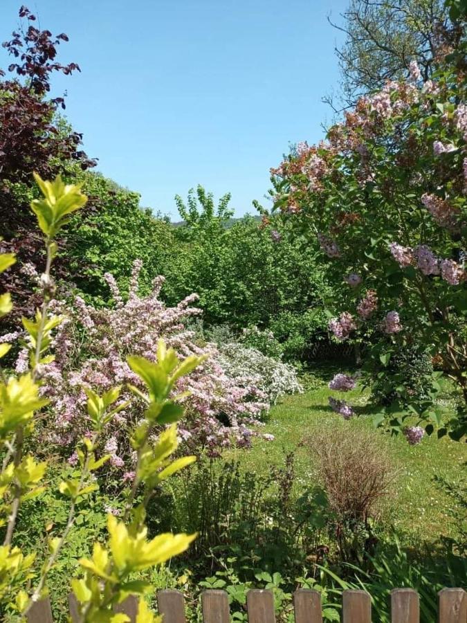 L'Escale Arquaise, La Maison Au Jardin Fleuri A 5 Min De Dieppe Arques-la-Bataille Buitenkant foto